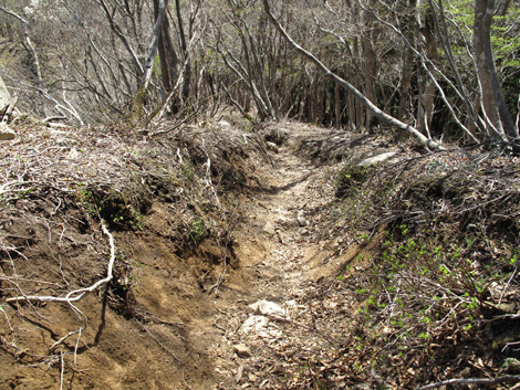 20140502hike (295)